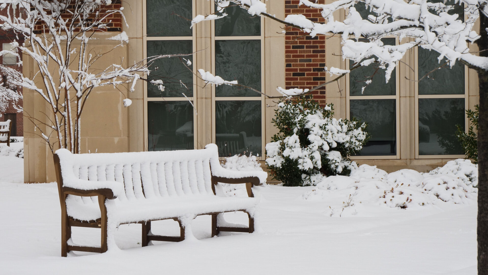 Snow on the South Oval